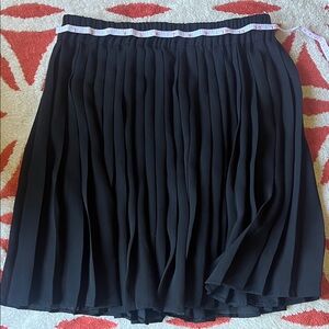 Semi-Sheer Pleated Skirt
